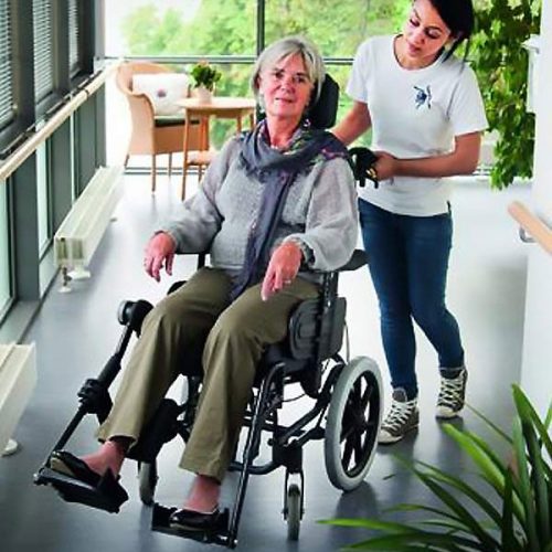 Azalea Assist Transit Wheelchair
