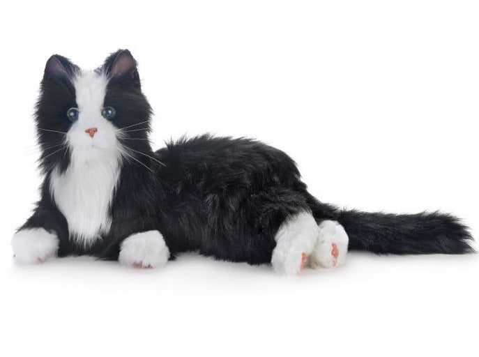 Interactive Companion Pet Tuxedo Cat HospEquip