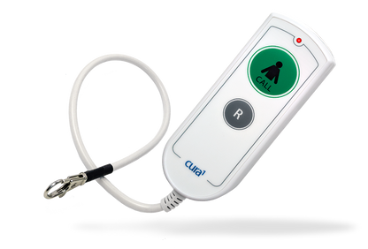 Wireless Handset with Reset 3502