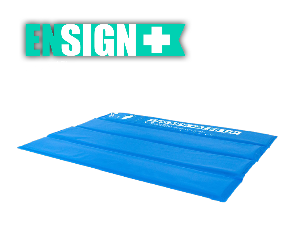 ENSIGN+ Patient Care System Bed Kit