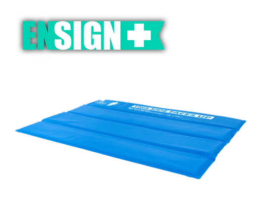 ENSIGN+ Patient Care System Bed Kit