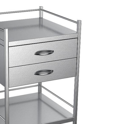 Nimble Instrument Trolley 490x490x970mm 2 Drawer